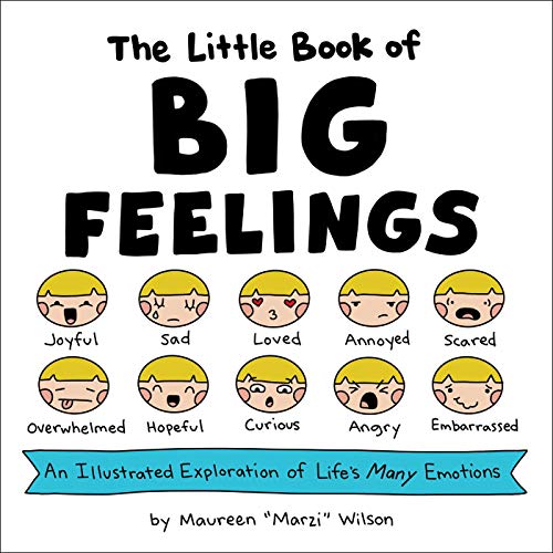 Book Cover The Little Book of Big Feelings: An Illustrated Exploration of Life's Many Emotions