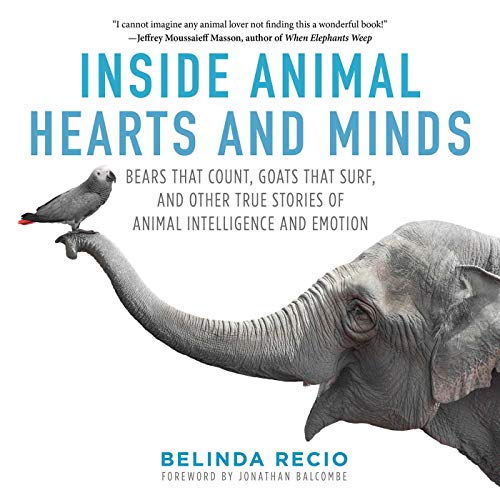Book Cover Inside Animal Hearts and Minds: Bears That Count, Goats That Surf, and Other True Stories of Animal Intelligence and Emotion