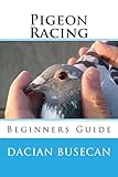 Pigeon Racing: Beginners Guide