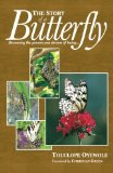 The Story of a Butterfly: Becoming the person you dream of being