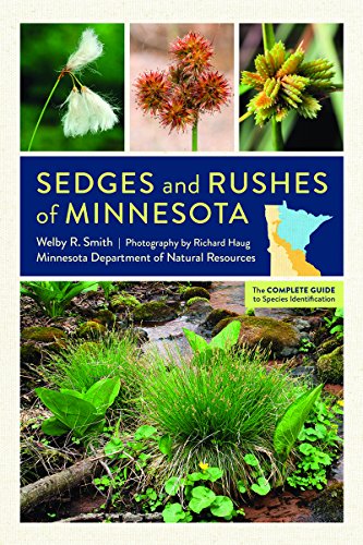 Book Cover Sedges and Rushes of Minnesota: The Complete Guide to Species Identification