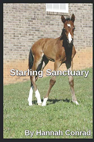 Book Cover Starling Sanctuary (Volume 1)