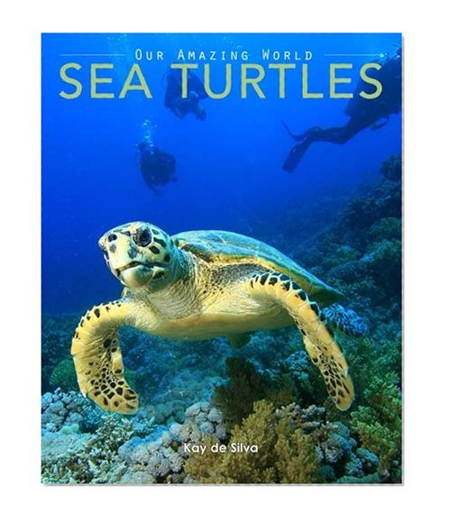 Book Cover Sea Turtles: Amazing Pictures & Fun Facts on Animals in Nature (Our Amazing World Series) (Volume 4)