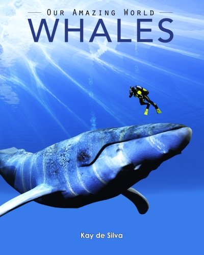 Book Cover Whales: Amazing Pictures & Fun Facts on Animals in Nature (Our Amazing World Series Book)
