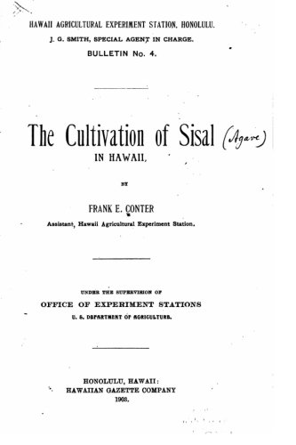 The cultivation of Sisal in Hawaii