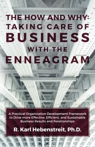Book Cover The How and Why:  Taking Care of Business with the Enneagram: A Practical Organization Development Framework to Drive more Effective, Efficient, and Sustainable Business Results and Relationships