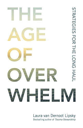 Book Cover The Age of Overwhelm: Strategies for the Long Haul