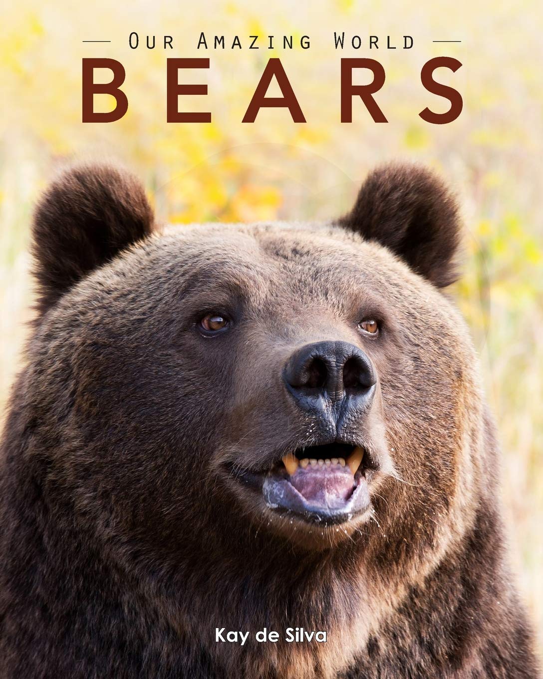 Book Cover Bears: Amazing Pictures & Fun Facts on Animals in Nature (Our Amazing World)