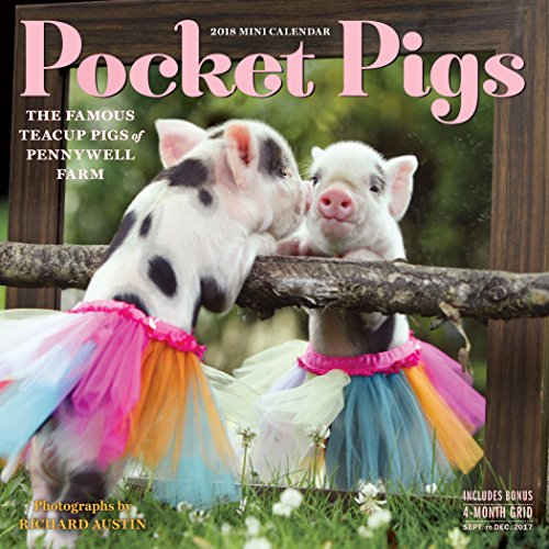 Book Cover Pocket Pigs Mini Wall Calendar 2018