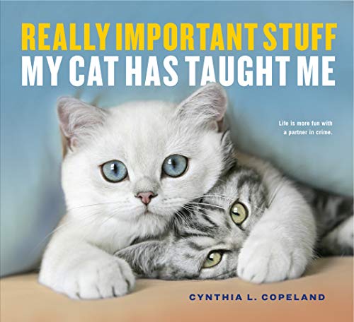 Book Cover Really Important Stuff My Cat Has Taught Me