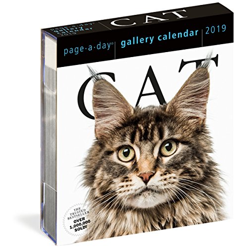 Book Cover Cat Page-A-Day Gallery Calendar 2019