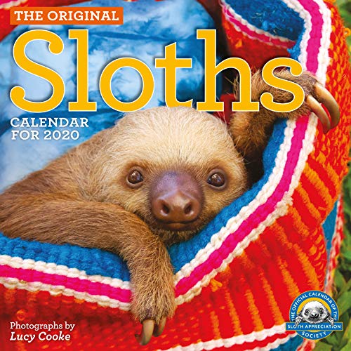 Book Cover Original Sloths Wall Calendar 2020
