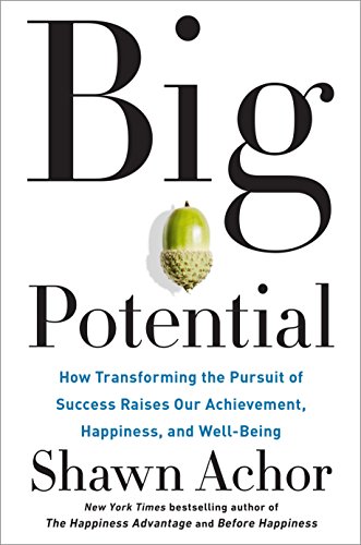 Book Cover Big Potential: How Transforming the Pursuit of Success Raises Our Achievement, Happiness, and Well-Being