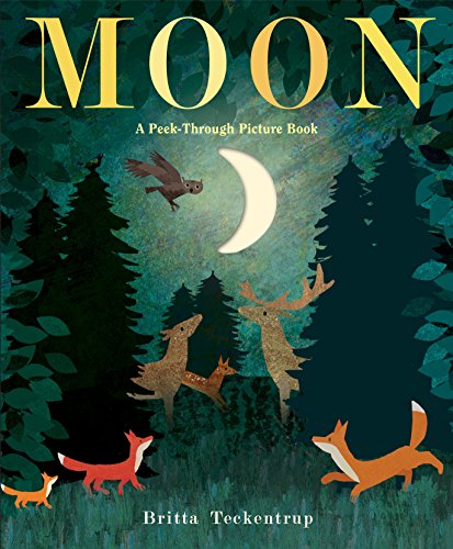 Book Cover Moon: A Peek-Through Picture Book