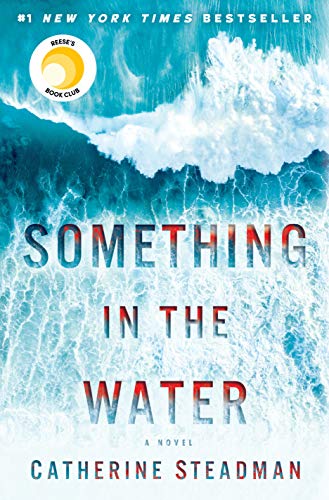 Book Cover Something in the Water: A Novel