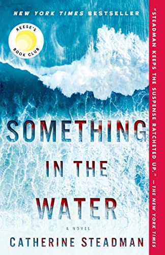 Book Cover Something in the Water: A Novel