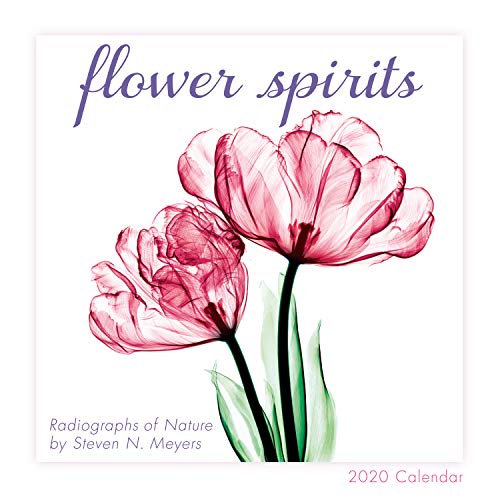 Flower Spirits 2020 Calendar: Radiographs of Nature