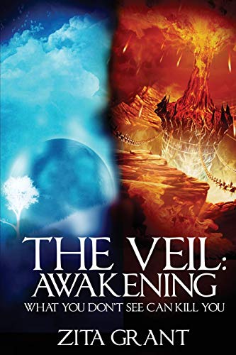 Book Cover The Veil: Awakening