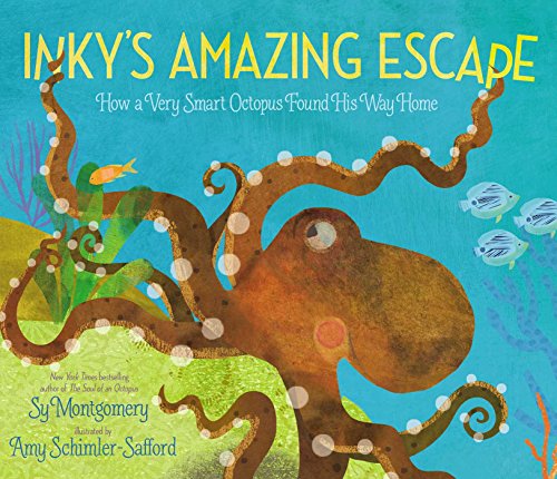 Book Cover Inky's Amazing Escape: How a Very Smart Octopus Found His Way Home