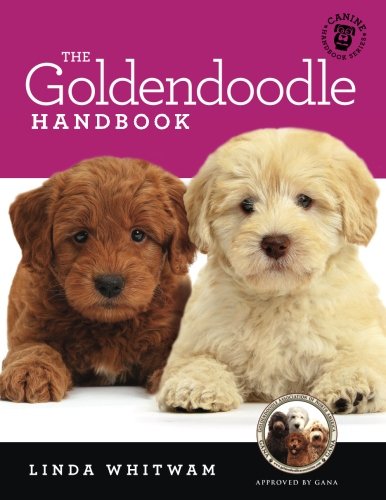Book Cover The Goldendoodle Handbook: The Essential Guide For New & Prospective Goldendoodle Owners (Canine Handbooks)