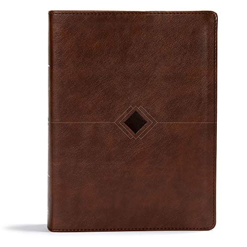 Book Cover CSB Day-by-Day Chronological Bible, Brown Leathertouch