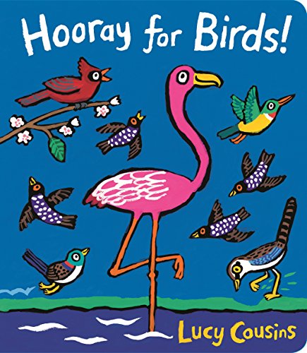 Book Cover Hooray for Birds!