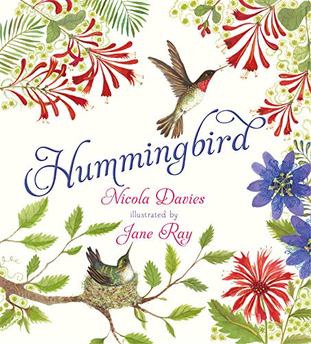 Book Cover Hummingbird