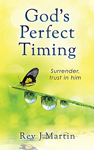 Book Cover God's Perfect Timing: Surrender, trust in him. Leave your stressful life behind.