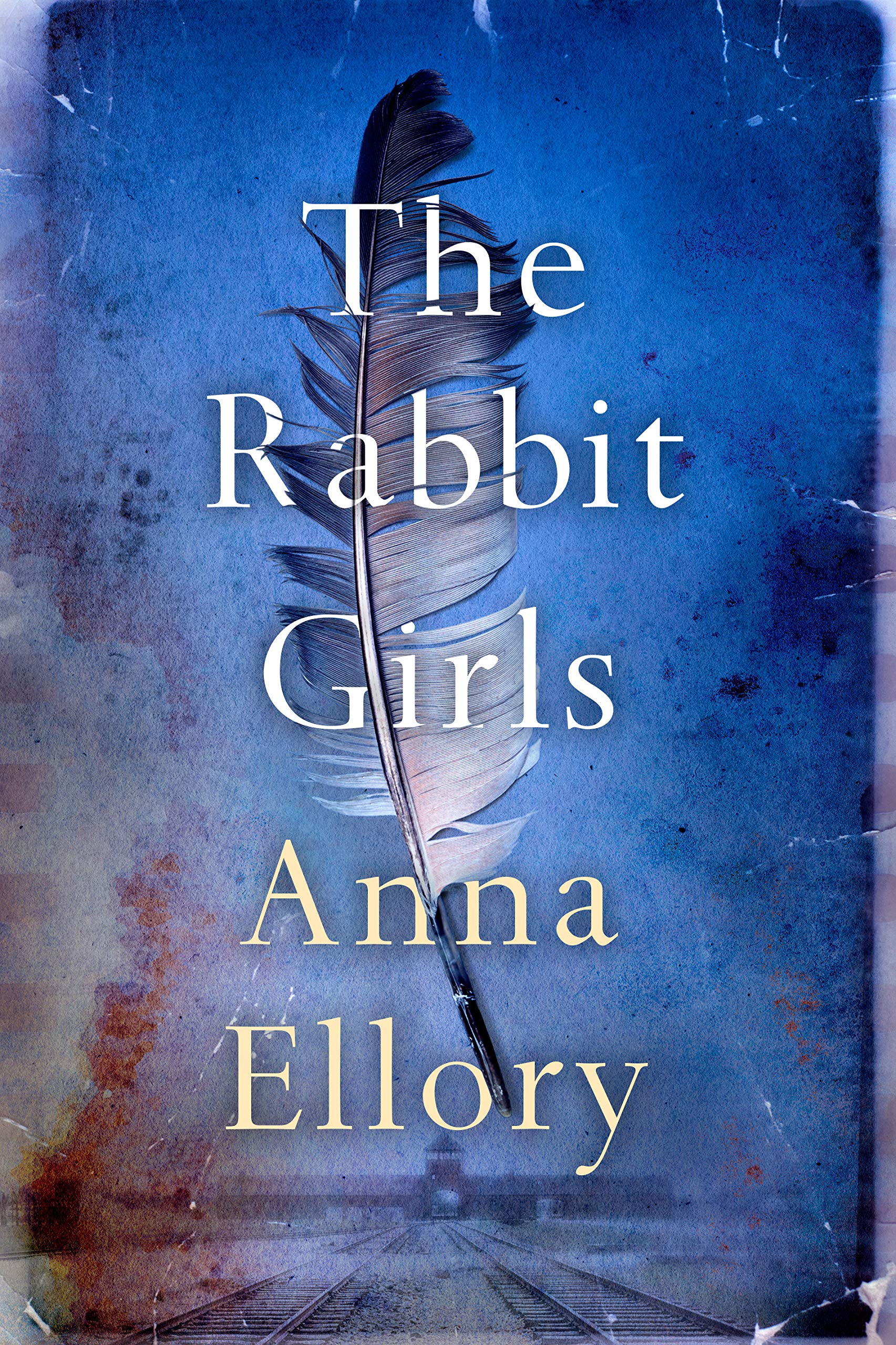 Book Cover The Rabbit Girls