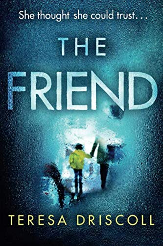 Book Cover The Friend: An emotional psychological thriller with a twist