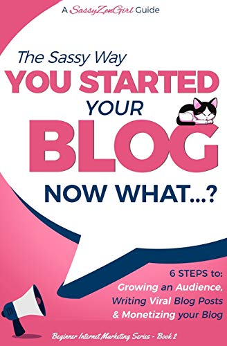 Book Cover You Started Your Blog - Now What...? (Beginner Internet Marketing Series) (Volume 2)