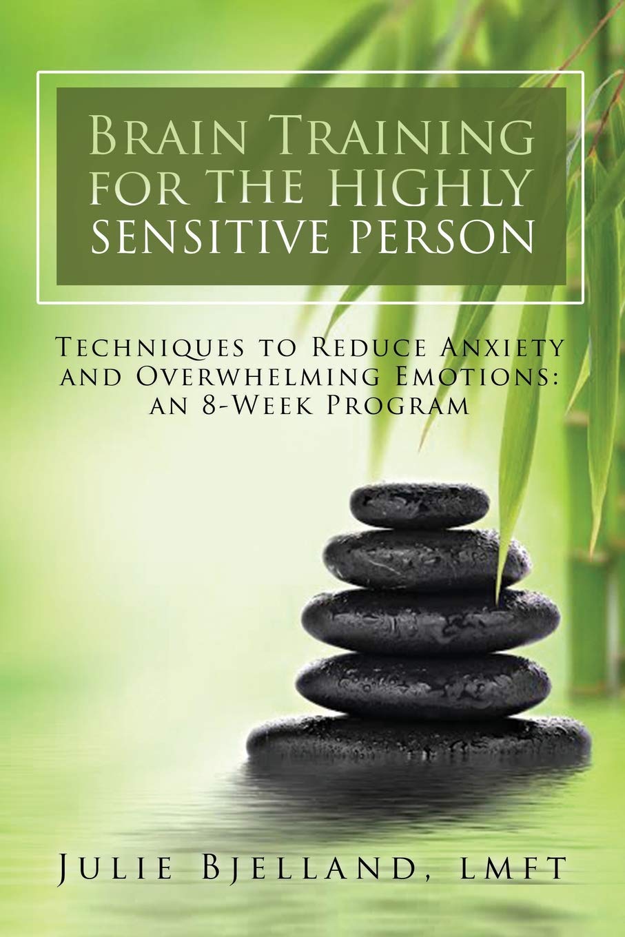 Book Cover Brain Training For The Highly Sensitive Person: Techniques To Reduce Anxiety and Overwhelming Emotions: An 8-Week Program