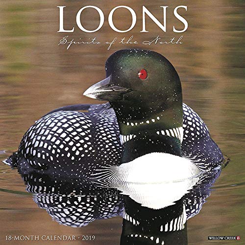 Loons 2019 Wall Calendar