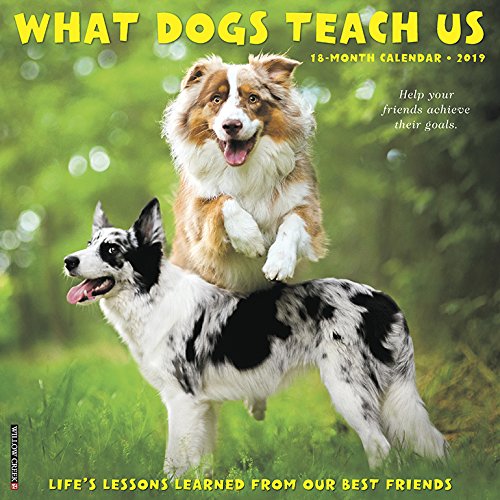 Book Cover What Dogs Teach Us 2019 Wall Calendar