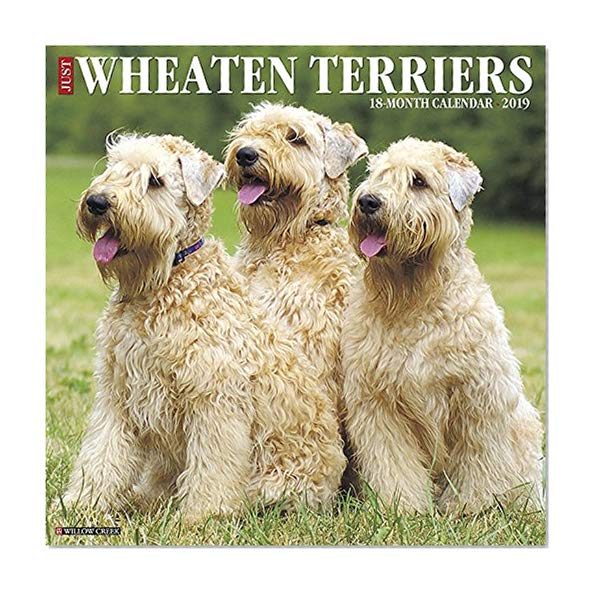 Book Cover Just Wheaton Terriers 2019 Wall Calendar (Dog Breed Calendar)