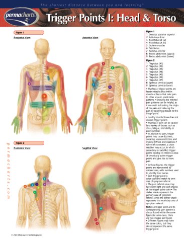 Trigger Points I: Head & Torso (Life Sciences)