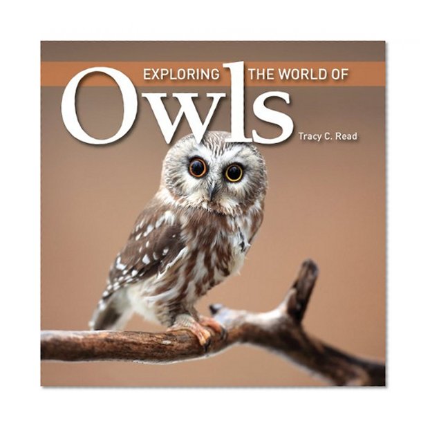 Book Cover Exploring the World of Owls