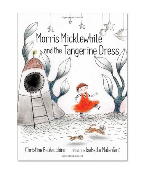 Book Cover Morris Micklewhite and the Tangerine Dress