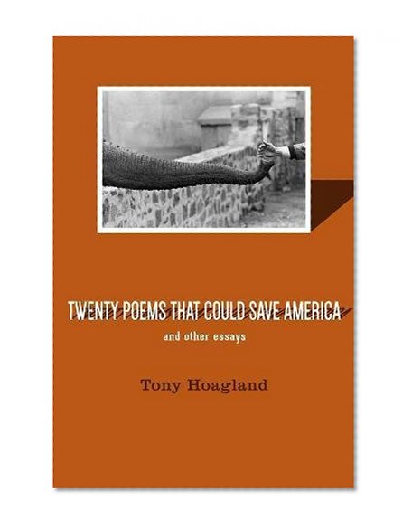 Book Cover Twenty Poems That Could Save America and Other Essays