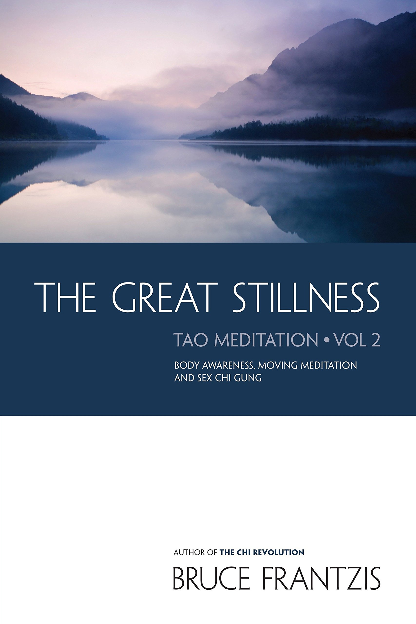Book Cover The Great Stillness: The Water Method of Taoist Meditation Series, Vol. 2