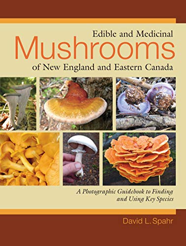 Book Cover Edible and Medicinal Mushrooms of New England and Eastern Canada: A Photographic Guidebook to Finding and Using Key Species
