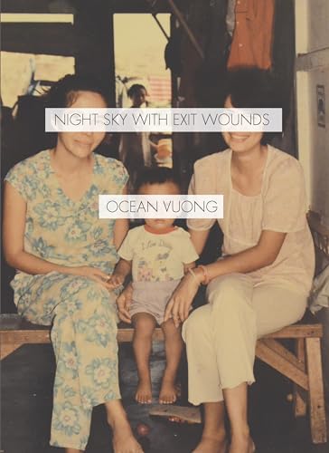 Book Cover Night Sky with Exit Wounds
