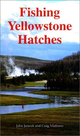 Fishing Yellowstone Hatches