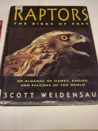 Raptors: The Birds of Prey