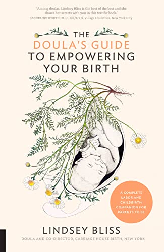 Book Cover The Doula's Guide to Empowering Your Birth: A Complete Labor and Childbirth Companion for Parents to Be