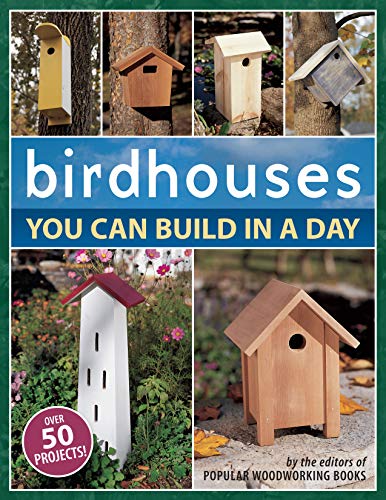 Book Cover Birdhouses You Can Build in a Day (Popular Woodworking)