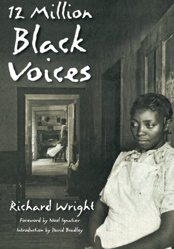 Book Cover 12 Million Black Voices