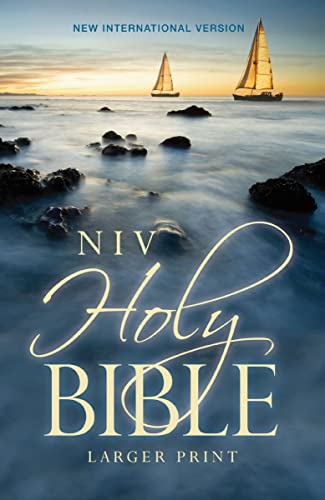Book Cover The Holy Bible: New International Version