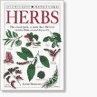 Herbs (DK Handbooks)