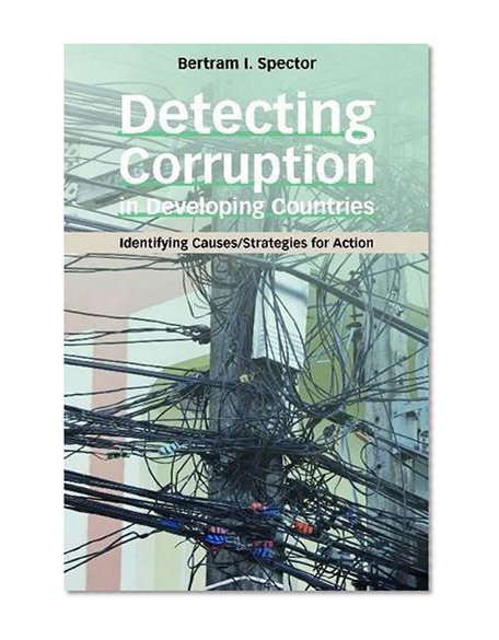 Detecting Corruption in Developing Countries: Identifying Causes/Strategies for Action